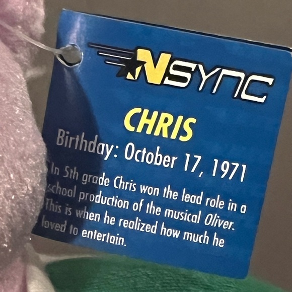 2000 Zeeks Nsync "Chris" Pop Star Boy Band Collectible Plush Pink Bear NWT - Picture 9 of 11